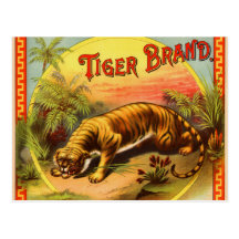 Tiger Brand 1900 Post Cards