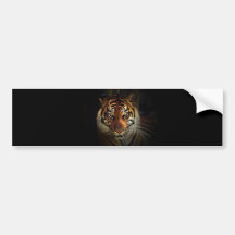 Tiger Bumper Stickers