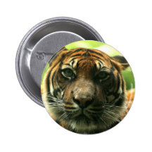 Tiger Button