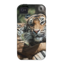 Tiger Cub with Mum Vibe iPhone 4 Cases