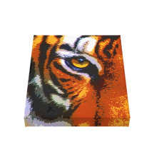 TIGER EYE GALLERY WRAP CANVAS