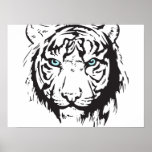Tiger Head Blue Eyes Poster