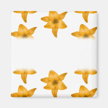 Tiger Lily Flowers. Pattern. Magnets