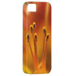 Tiger Lily iPhone 5 Covers