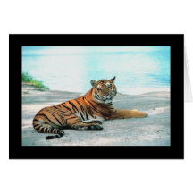 Tiger Lounge Card