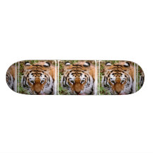 Tiger Markings  Skateboard