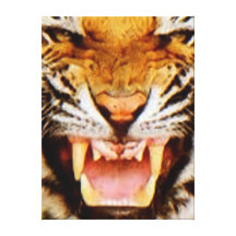 Tiger Oil Canvas Print