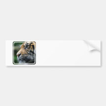 Tiger Picture Bumper Sticker