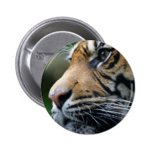 Tiger Picture Button