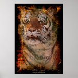 Tiger Portrait Big Cat Wildlife Art Poster
