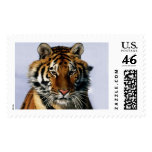 tiger stamps