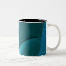 Tiger shark (Galeocerdo cuvier) Shark feed Coffee Mugs