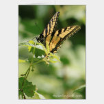 Tiger Swallowtail on a Raspberry cards