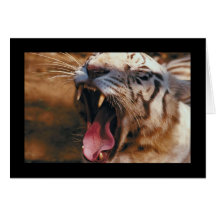 Tiger Yawn Card