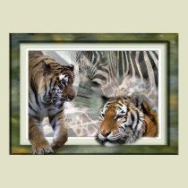 Tiger, Zebra, Giraffe, Lovers Gifts posters