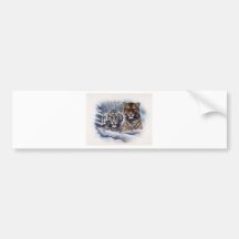 Tigers in the Mist Bumper Sticker