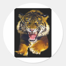 Tigre Adesivos