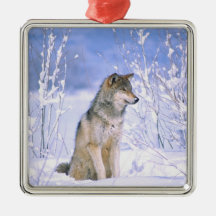 Timber Wolf sitting in the Snow, Canis lupus, Christmas Ornament