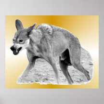 Timber Wolf Snarl Print