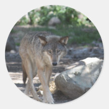Timber Wolf Sticker