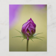 Time to Bloom Personalized Flyer