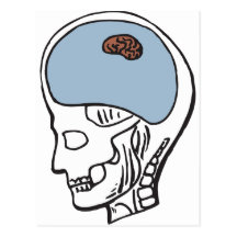 Tiny Brain Post Card