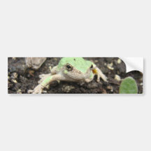Tiny Frog Bumper Sticker