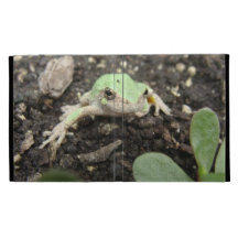 Tiny Frog iPad Folio Cover