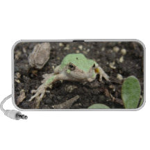 Tiny Frog Laptop Speakers