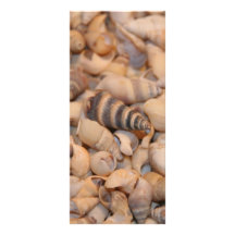 Tiny sea shells custom rack card