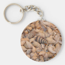 Tiny sea shells keychains