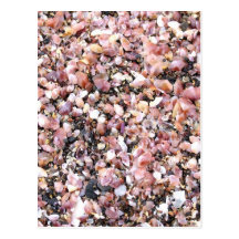 Tiny sea shells postcard