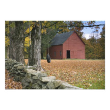 Tire swing along a road in Southern Vermont, Photographic Print