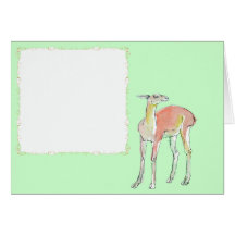 Tje Lama illustration Cards