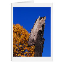 to be you card