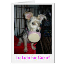 To Late for Cake? Greeting Cards