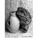 Toad frog holding udu percussion photograph photo cut out