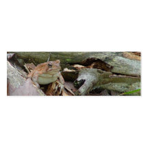 Toad Frog Mini Bookmark Business Card Templates