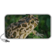 Toad  Portable Speakers