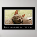 Today is a good day for a nap (L) Poster
