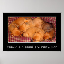 Today is a good day for a nap (S) Print