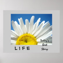 Today's Best Story! LIFE art prints White Daisy