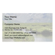 Togiak Refuge Scenic Business Cards