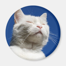Tom white cat fridge magnet