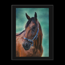 Tommy Standardbred Horse Art postcards