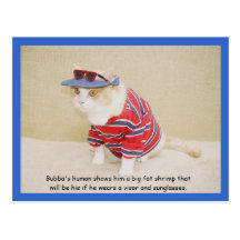 Too Cool Bubba Kitty Postcards