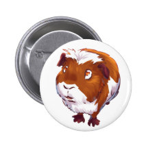 Too Curious Guinea Pig Pinback Button