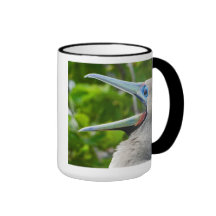 Top 'O the Morning Booby Mug