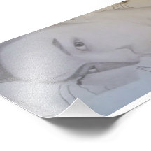 TOP PHOTO ART
