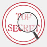 Top Secret Party Sticker